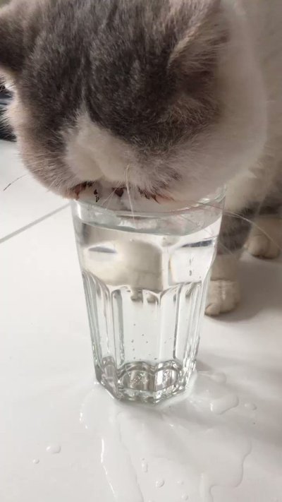 Watch 🍖 Harriet Sugarcookie 🍖's leaked NSFW video on TwXstars