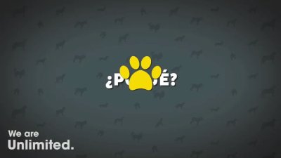 Watch Silvina Escudero's leaked NSFW video on TwXstars