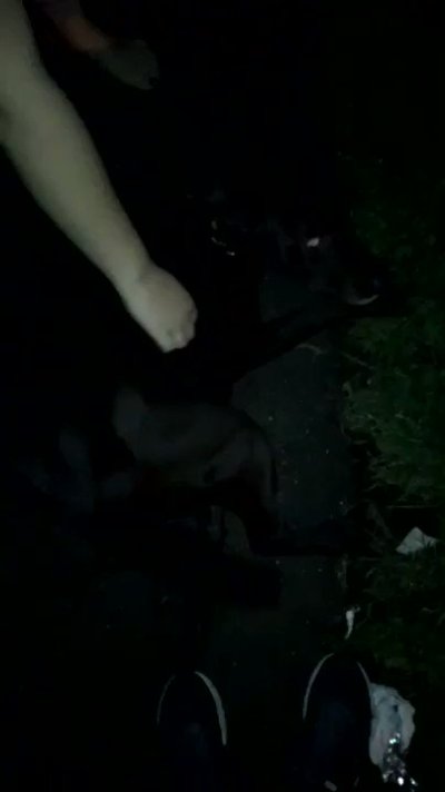 Watch sachin's leaked NSFW video on TwXstars