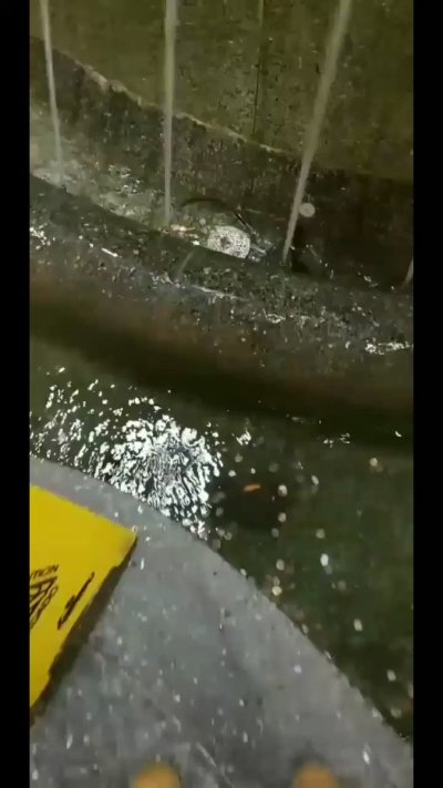 Watch jaime💛✨🫶's leaked NSFW video on TwXstars