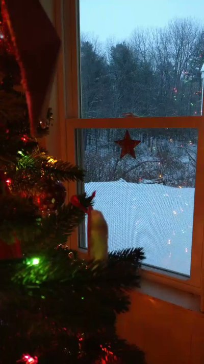 Watch julia_tv's leaked NSFW video on TwXstars