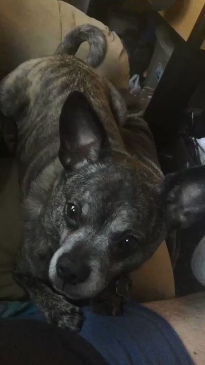 Watch DeepDirty™ Sins Ꙭ 💫's leaked NSFW video on TwXstars