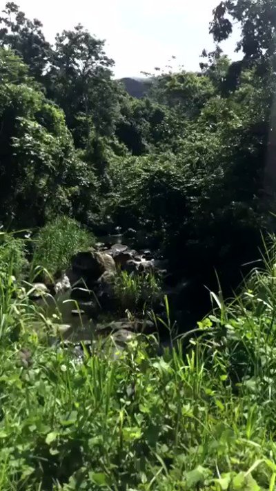 Watch sade's leaked NSFW video on TwXstars