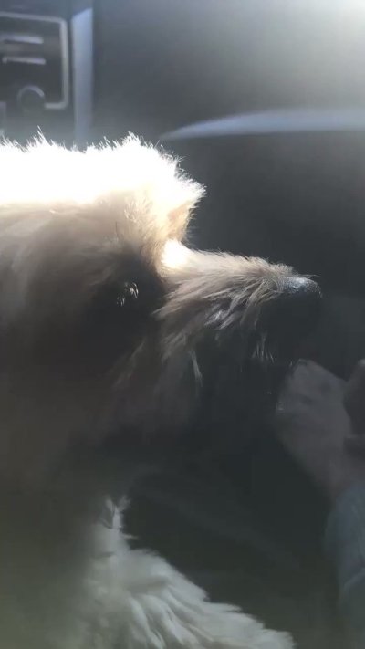 Watch XAVIER KEYZ's leaked NSFW video on TwXstars