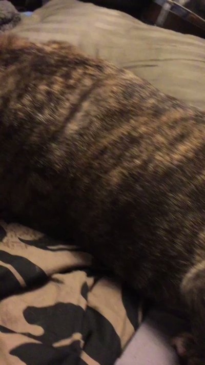 Watch DeepDirty™ Sins Ꙭ 💫's leaked NSFW video on TwXstars