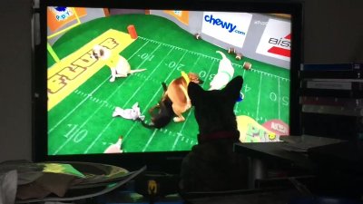 Watch DeepDirty™ Sins Ꙭ 💫's leaked NSFW video on TwXstars