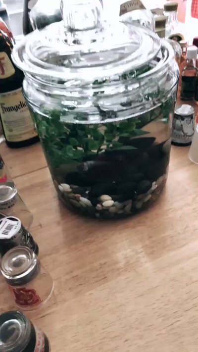 Watch 🍐's leaked NSFW video on TwXstars