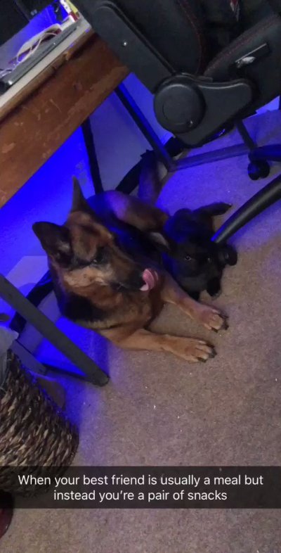 Watch Kirsty's leaked NSFW video on TwXstars