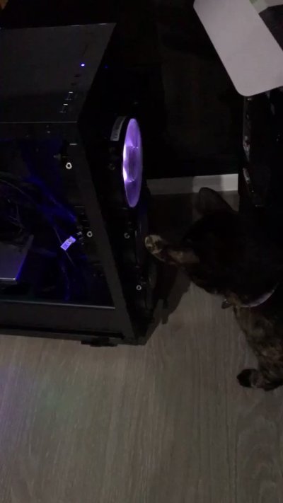 Watch loren's leaked NSFW video on TwXstars