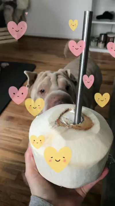 Watch Fauna Grey's leaked NSFW video on TwXstars