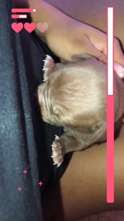 Watch Princess Tay 👑🌸's leaked NSFW video on TwXstars