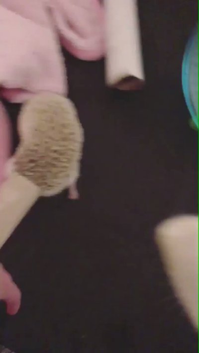 Watch Adeline Frost ✧'s leaked NSFW video on TwXstars