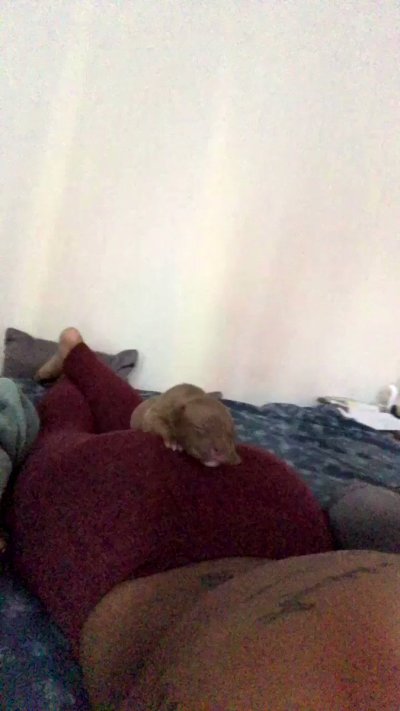 Watch Princess Tay 👑🌸's leaked NSFW video on TwXstars