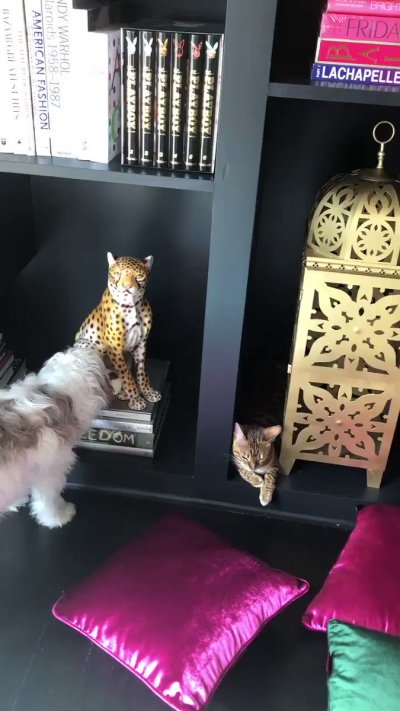 Watch Jillian Barberie's leaked NSFW video on TwXstars