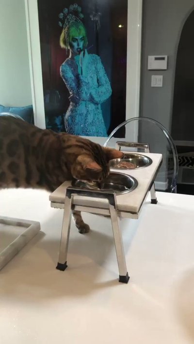 Watch Jillian Barberie's leaked NSFW video on TwXstars