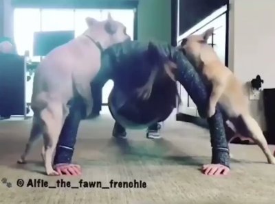 Watch DeepDirty™ Sins Ꙭ 💫's leaked NSFW video on TwXstars