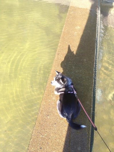 Watch BurtonJ's leaked NSFW photo on TwXstars