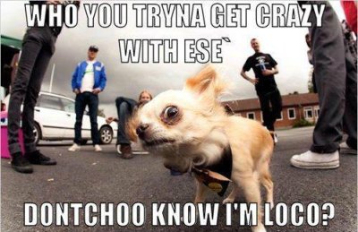 Watch LadyRica22's leaked NSFW photo on TwXstars