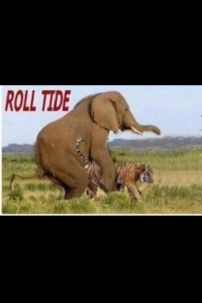 Watch Wren🥋's leaked NSFW photo on TwXstars