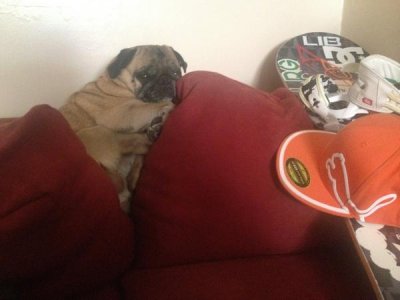 Watch Robert Vito's leaked NSFW photo on TwXstars