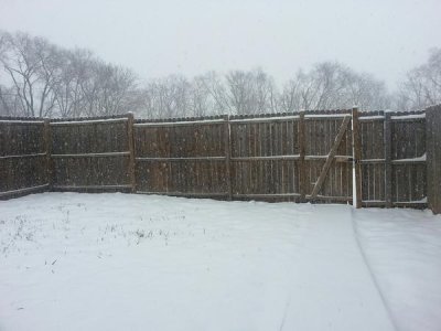 Watch Tanya Tehanna's leaked NSFW photo on TwXstars