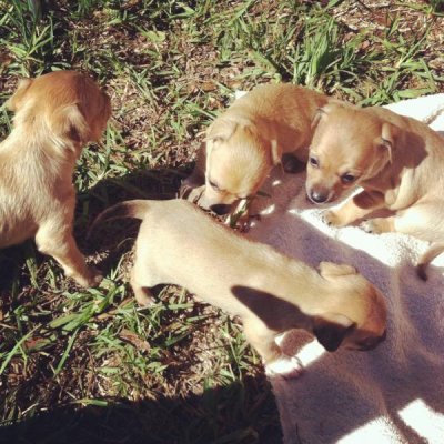 Watch RiRiNavy's leaked NSFW photo on TwXstars