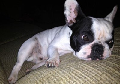 Watch Jaclyn Swedberg's leaked NSFW photo on TwXstars