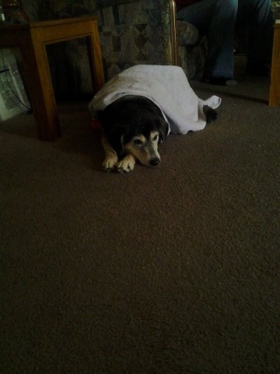 Watch EvonTeylor 💅🏾📸's leaked NSFW photo on TwXstars