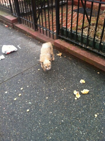 Watch Tanya Tehanna's leaked NSFW photo on TwXstars