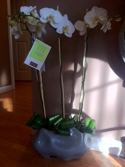 Watch Maria Canals-Barrera's leaked NSFW photo on TwXstars