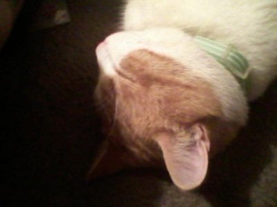 Watch EvonTeylor 💅🏾📸's leaked NSFW photo on TwXstars