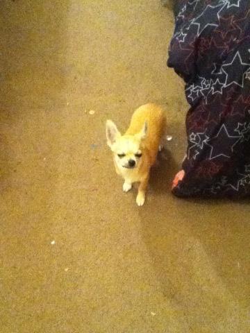 Watch FirstLady's leaked NSFW photo on TwXstars