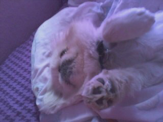 Watch D✨'s leaked NSFW photo on TwXstars