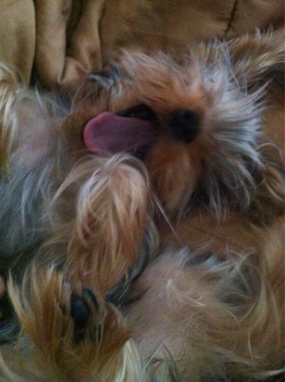 Watch Shelby Chesnes's leaked NSFW photo on TwXstars