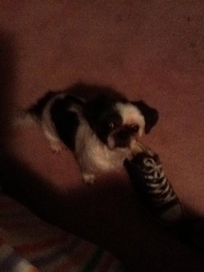 Watch ct.❤️'s leaked NSFW photo on TwXstars