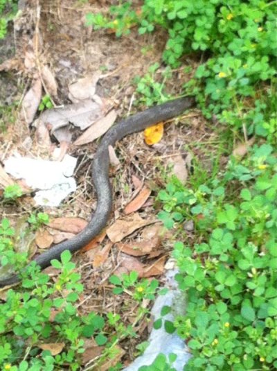 Watch The Patriarch's leaked NSFW photo on TwXstars