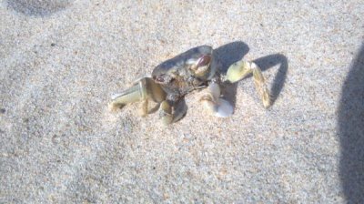 Watch Tanya Tehanna's leaked NSFW photo on TwXstars