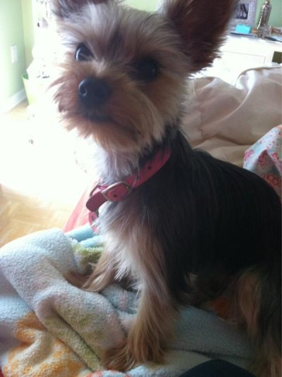 Watch Shelby Chesnes's leaked NSFW photo on TwXstars