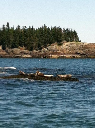 Watch Brett Moffitt's leaked NSFW photo on TwXstars