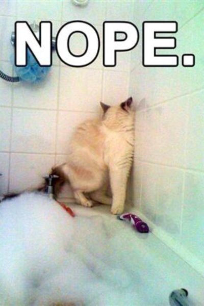 Watch Jessa Hinton's leaked NSFW photo on TwXstars