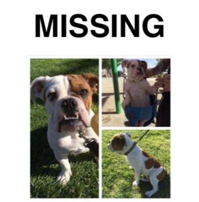 Watch Darling Danika's leaked NSFW photo on TwXstars