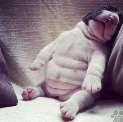 Watch Maryse Mizanin's leaked NSFW photo on TwXstars