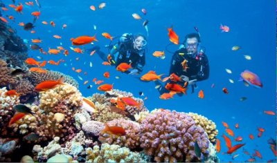 Watch anna paci's leaked NSFW photo on TwXstars