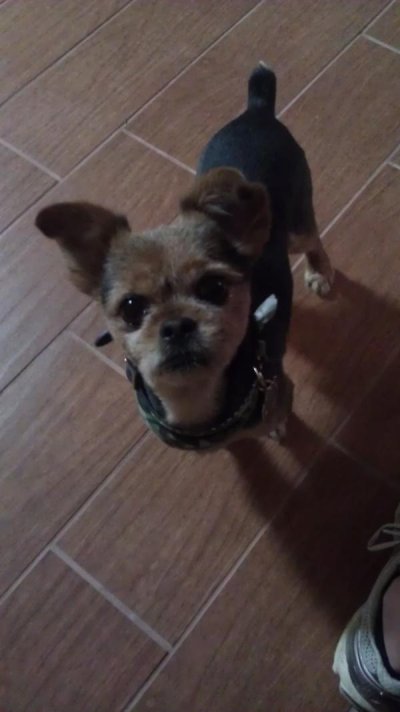 Watch Samantha Raye Tomchik's leaked NSFW photo on TwXstars