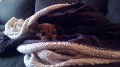 Watch Samantha Raye Tomchik's leaked NSFW photo on TwXstars