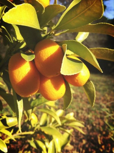 Watch Jǝѕѕica's leaked NSFW photo on TwXstars