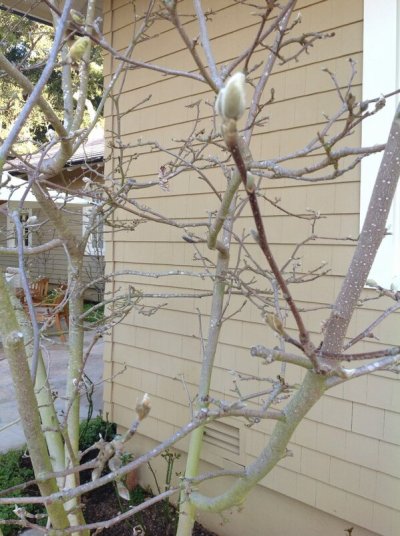 Watch Oprah Winfrey's leaked NSFW photo on TwXstars