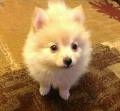 Watch The Cowdashians's leaked NSFW photo on TwXstars