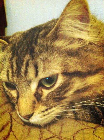 Watch Jǝѕѕica's leaked NSFW photo on TwXstars