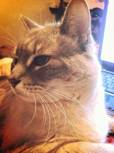 Watch Jǝѕѕica's leaked NSFW photo on TwXstars